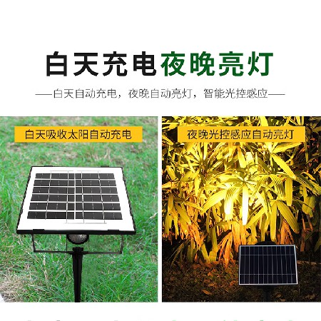 Luz solar integrada de relva